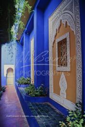 Image du Maroc Professionnelle de  Le Jardin Majorelle une pure merveille crée par le peintre français Jacques Majorelle, qui a eu le coup de foudre pour Marrakech. Yves Saint Laurent et Pierre Bergé font l’acquisition de ce havre de paix durant les années quatre-vingt où Yves Saint Laurent dessina plusieurs pièces. son voeux était de faire de ce parc une œuvre d’art vivante. On y découvre des plantes provenant des cinq continents, yuccas d’Océanie, lotus d’Asie, cactus d’Amérique, palmiers d’Afrique et cyprès d’Europe …, à Marrakech le Lundi 18 Août 1997. ((Photo / Abdeljalil Bounhar)